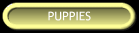 Puppies